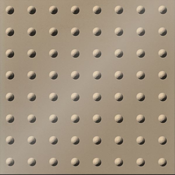 Novel Rivet Rivet Ceiling Panels