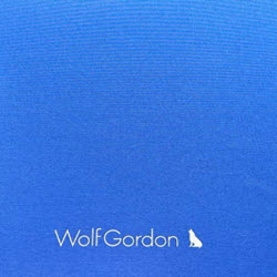 Wolf Gordon