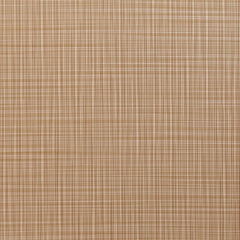 Absolute Blonde Wall Protection