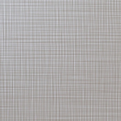 Absolute Buff Wall Protection