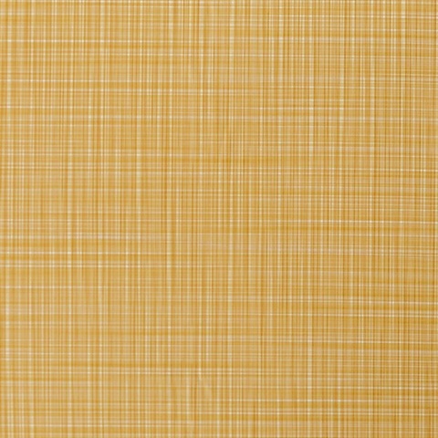 Absolute Honey Wall Protection