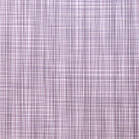 Absolute Primrose Wall Protection