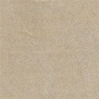 Adobe Speckled Rattler