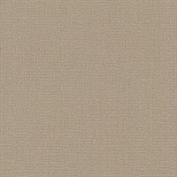 Aki Aviva Stanoff Elemental