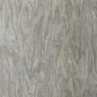 Alba Ash Wall Protection