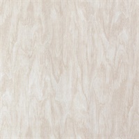 Alba Beech Wall Protection