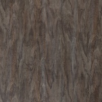 Alba Charred Wall Protection