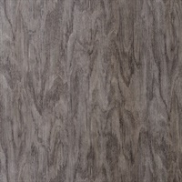 Alba Jacobean Wall Protection