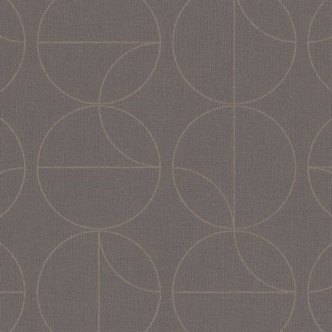 All Around Homecourt