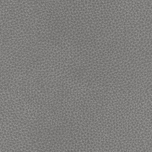 Aluminum Neptune Brushed Aluminum