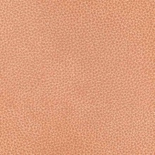 Aluminum Neptune Rose Gold