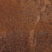 Aluminum Tannery Cu Later