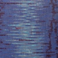 Amp'd Electric Blues Stria