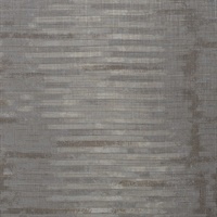 Amp'd Punk Rock Stria