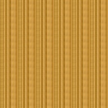 Amusement Amusement 5