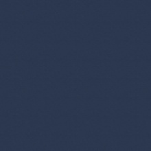 Amusement Metallic 1