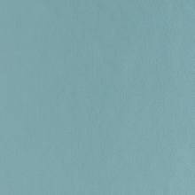 Amusement Metallic 16