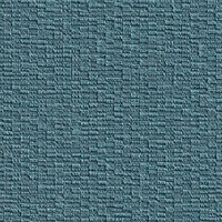 Anassa Eurasian Teal