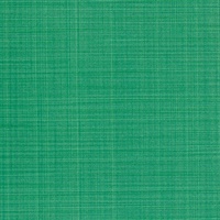 Angles Silk Parakeet