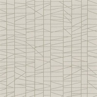 Annex Lattice Geometric Commercial Vinyl