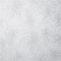 Anything Goes So Silver Geometric Starburst