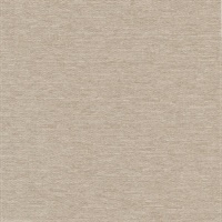 Aperture Texture Kraft