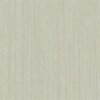 Arista Ambient Light