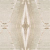 Artifact Carol Benson-Cobb Blush