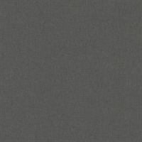 Artist's Weave Carol Benson-Cobb Graphite