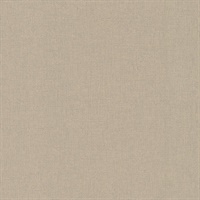 Artist's Weave Carol Benson-Cobb Parchment