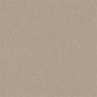 Artist's Weave Carol Benson-Cobb Sparro