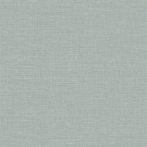 Ascend Plain Blue Steel