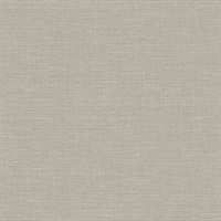 Ascend Plain Café Late