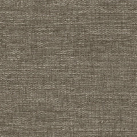 Ascend Plain Caramel