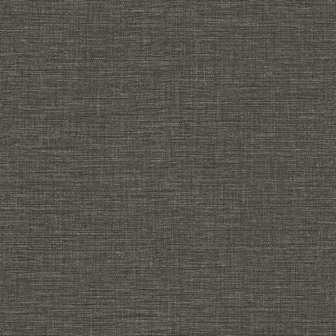 Ascend Plain Charcoal