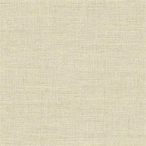 Ascend Plain Sun Kissed