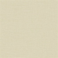 Ascend Plain Sun Kissed