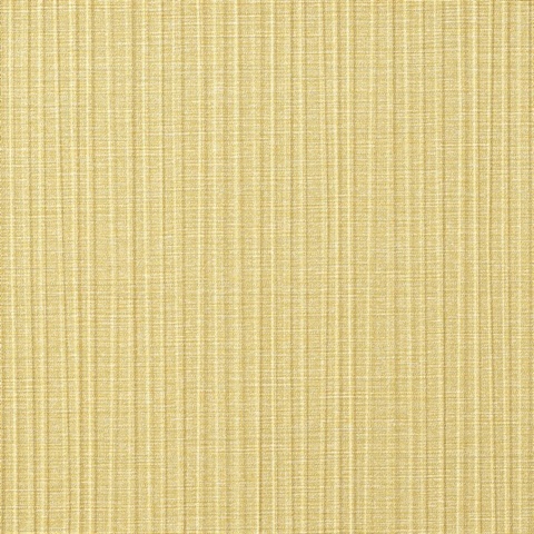 Ashlar Honey Wall Protection