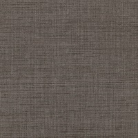 Asian Linen Grey Rock