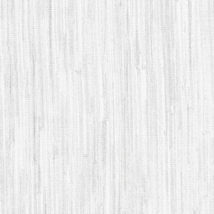 Astoria Accent Silver Charmeuse