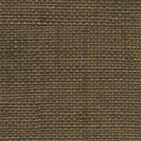 Authenticity David Copperfield