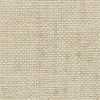 Authenticity Jane Eyre