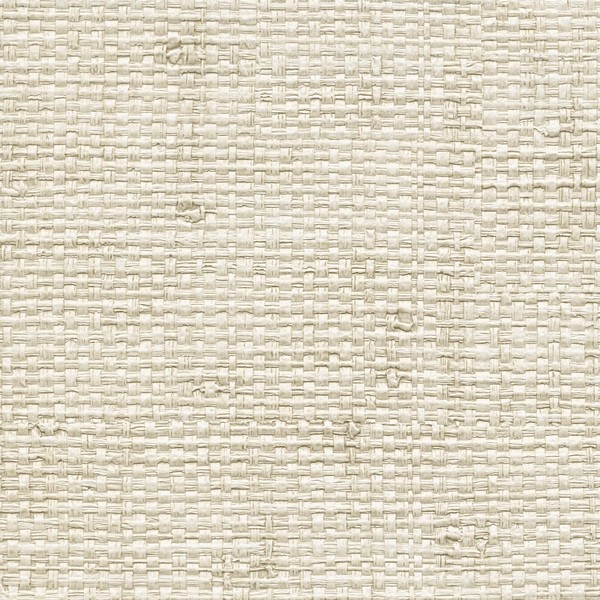 Authenticity School Collection This Side of Paradise