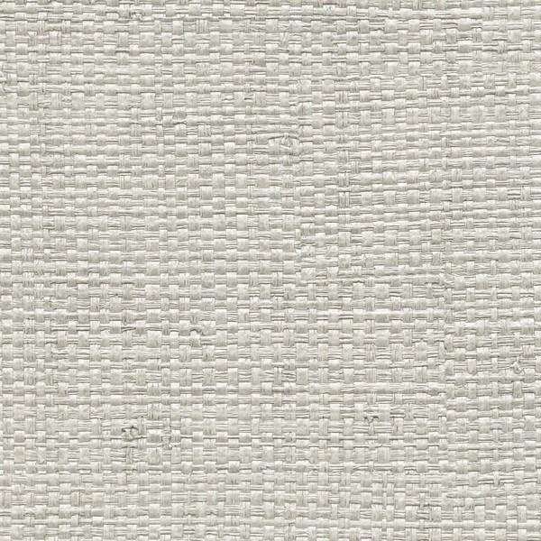 Authenticity School Collection Treasure Island