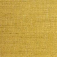 Avatar Linen Golden Earring