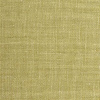 Avatar Linen Green Tamborine