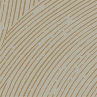 Awaken Hello Sunshine