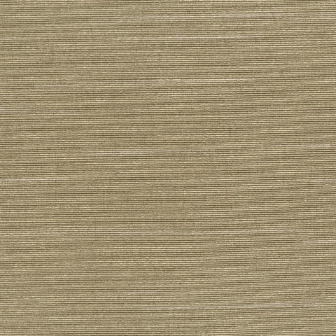 1922-53 | Axis Champagne Silk Texture Commercial Vinyl Wallcovering