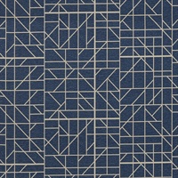 Balancing Act Navy Seal