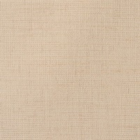 Banbridge Star Anise